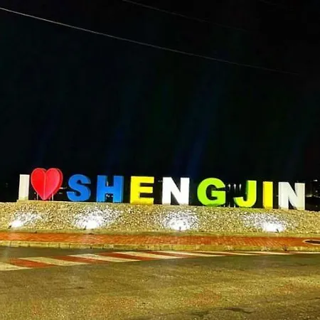 Turi Shëngjin